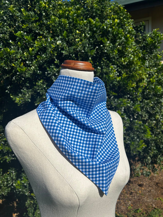 Blue & White Gingham Neck Scarf